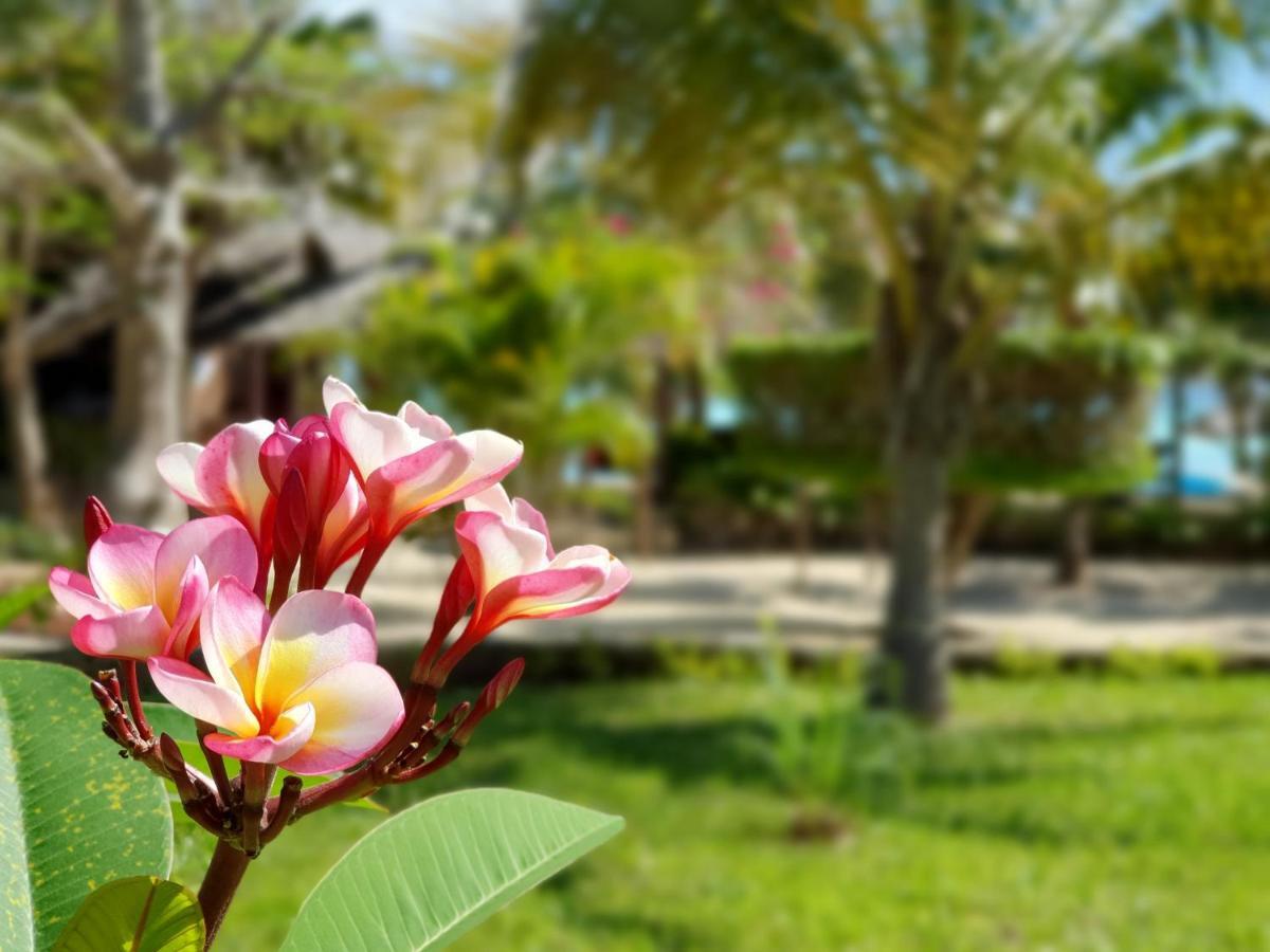 The Zanzibari Hotel Nungwi Eksteriør billede