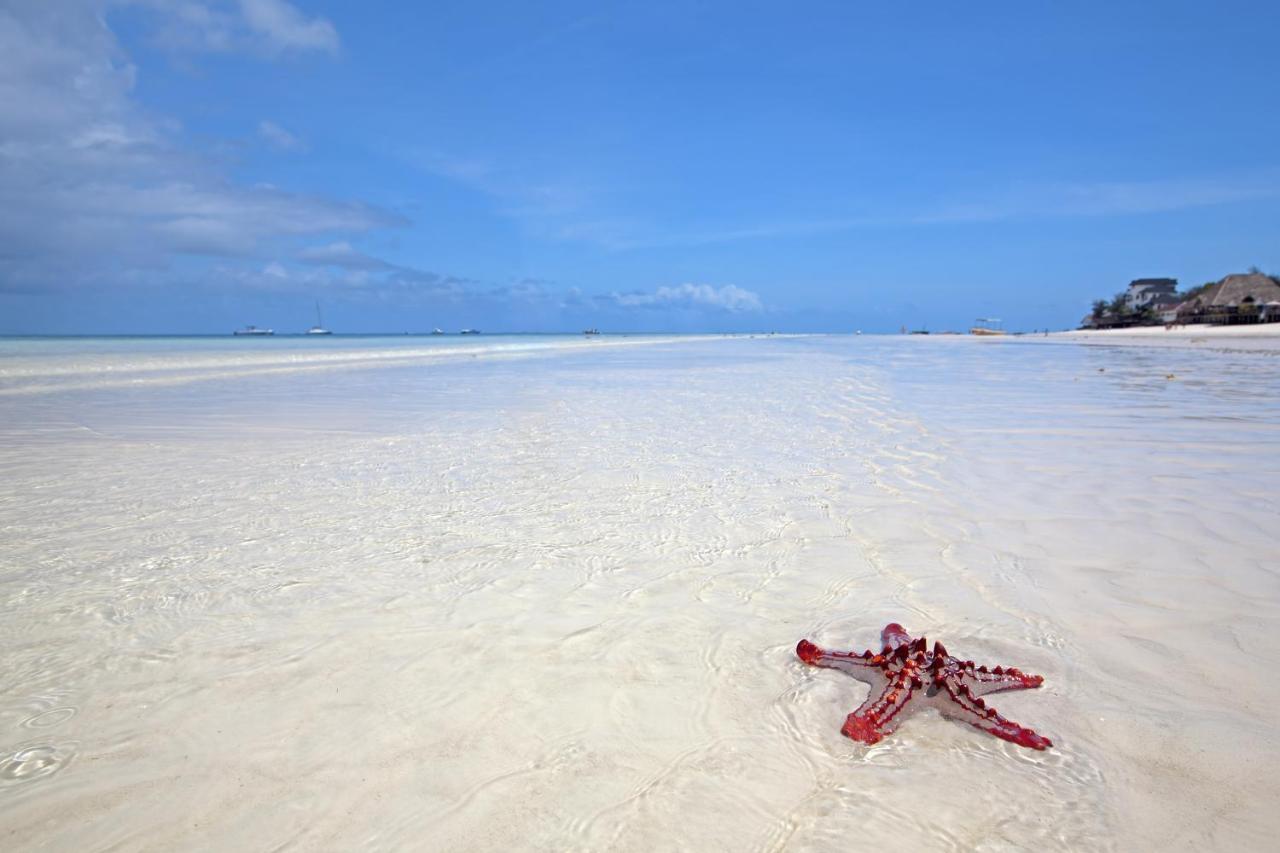 The Zanzibari Hotel Nungwi Eksteriør billede